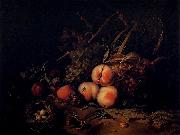 Rachel Ruysch Still-Life with Fruit and Insects oil painting reproduction